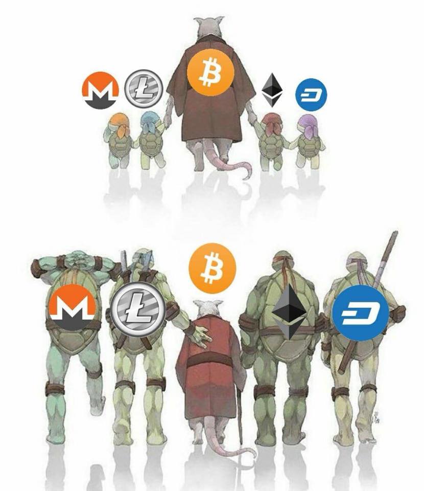 CryptoastMedia's tweet photo. I'm not sure about that. Do not underestimate the king 👑👊
$BTC $XMR $LTC $ETH $DASH #cryptocurrency #bitcoin https://t.co/gW0YCnjqDi