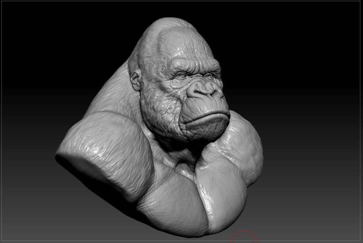 Nearly finished with my King Kong sculpture. I love doing wrinkles in ZBrush.
#ZBrush #Pixologic #digitalart #kingkong #gorilla