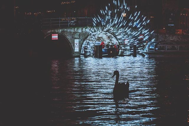 This week is your last chance to experience the amazing Amsterdam Light Festival of 2017-2018. Make sure you don't miss out and book your tickets on our website! #LightLovers #AmsterdamLightFestival goo.gl/pW7JRt