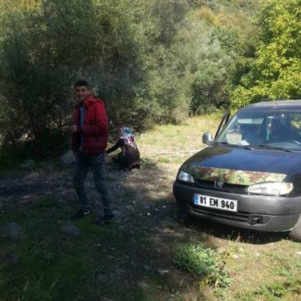 Tavan sanruf lazim olanvarsa  sevinirim