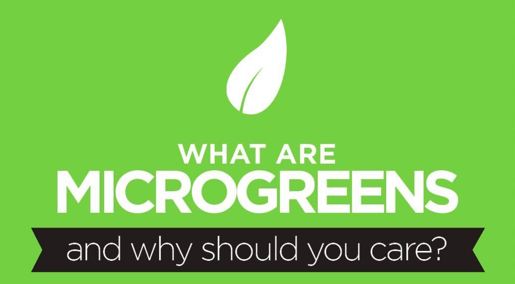 Do you know what #microgreens are and why you should care? Here’s a handy little inforgraphic: ow.ly/pX1n30fckgI