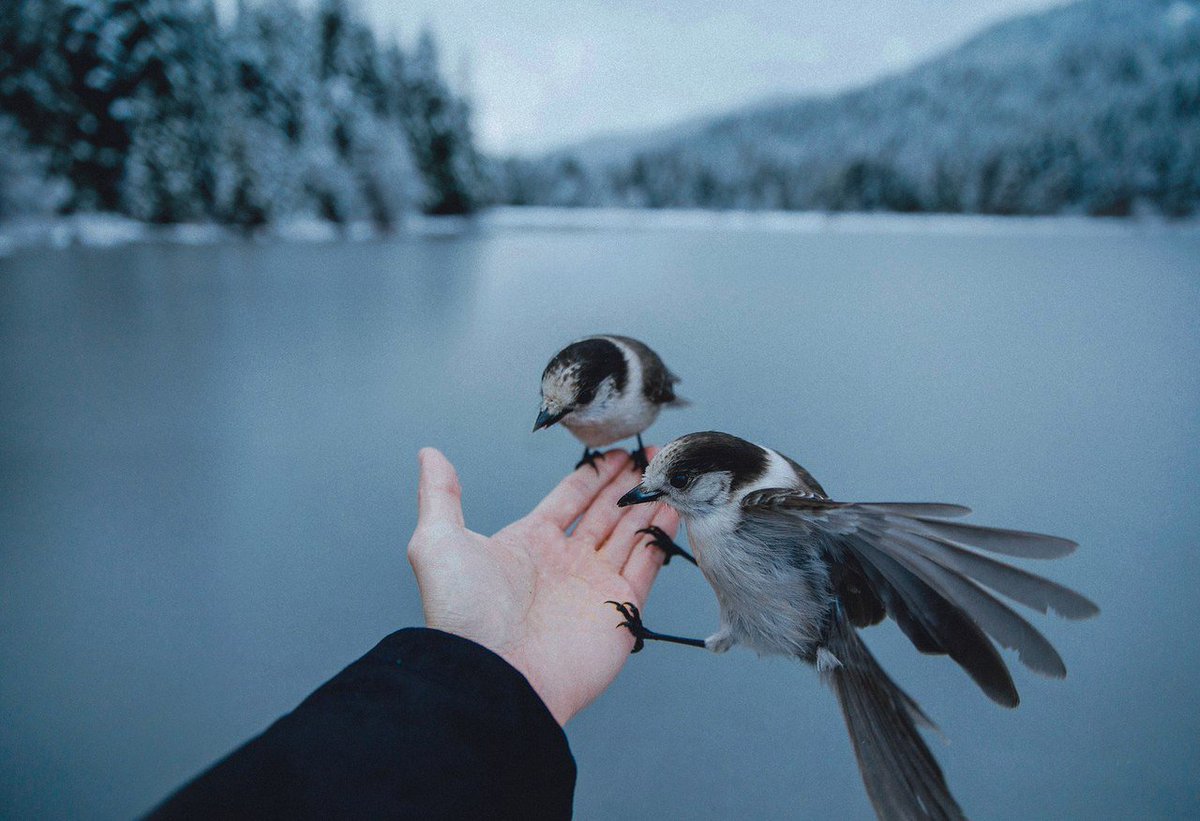 (http://ceruleanmood.tumblr.com/post/164499502451) 