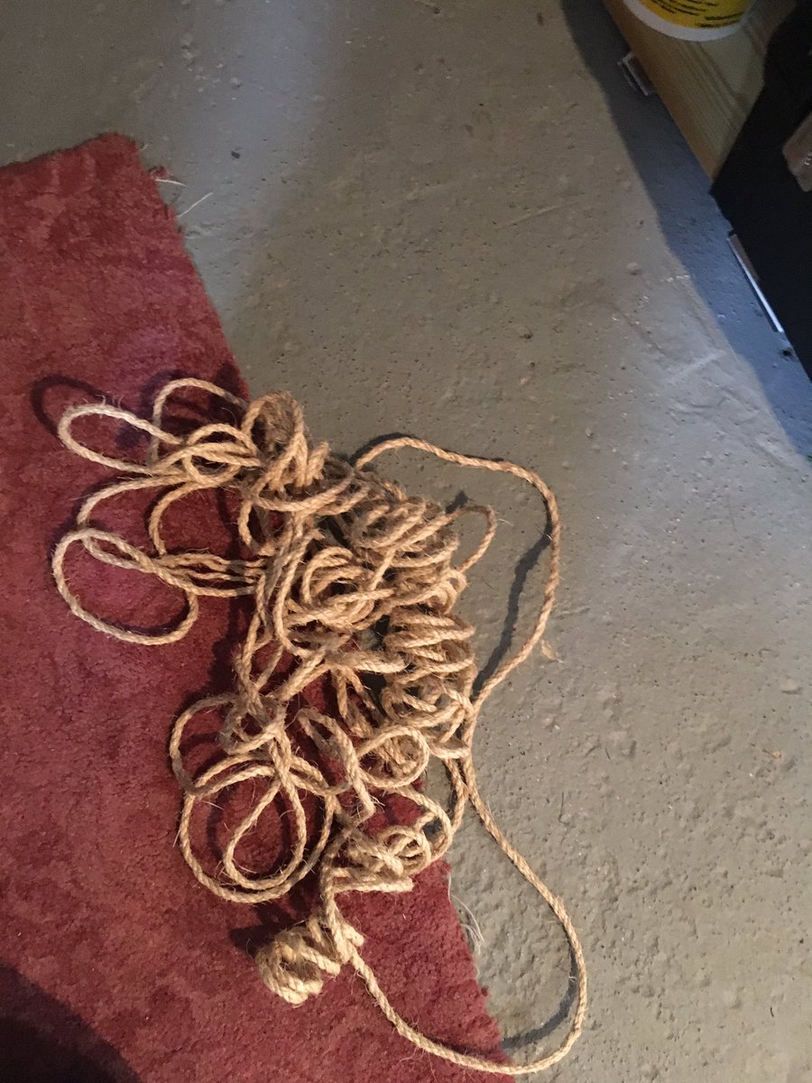 You leave rope alone for five minutes and this happens