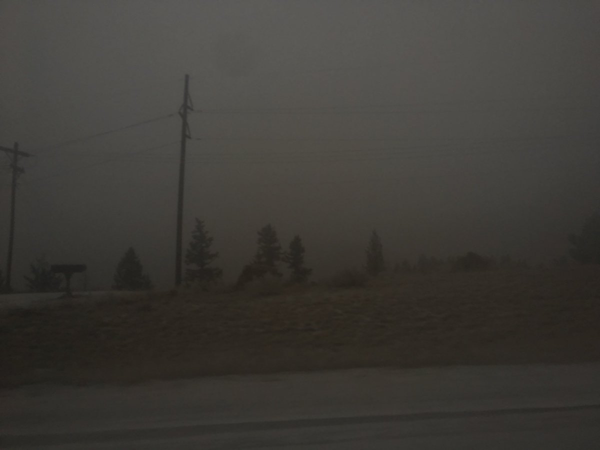 madsgibson0's tweet image. take my hand
i’ll take yours
in this land of fog and snow
far away, you and i, will go