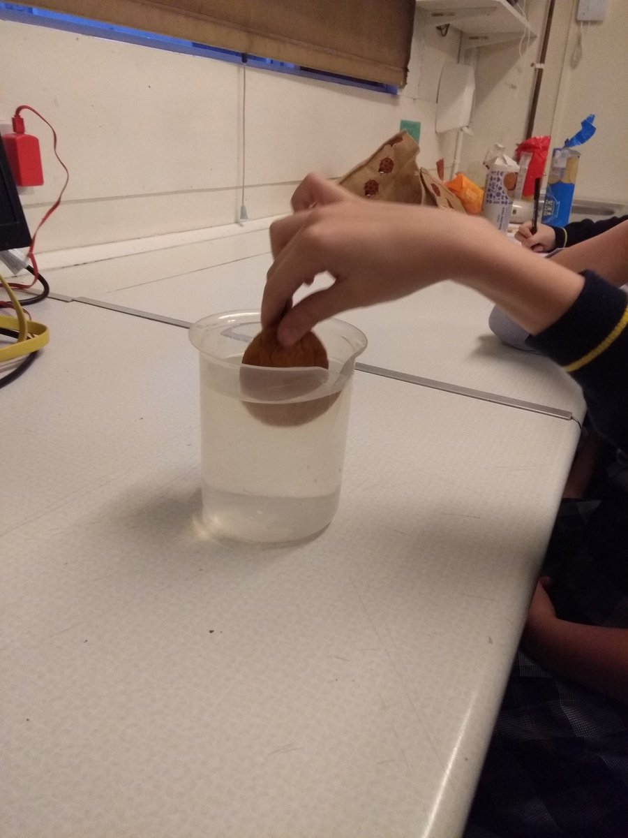 Year2BHGirls's tweet photo. The great @BHillGirls dunkathon is underway in #STEMclub which biscuit will survive longest? Will it be #richtea #gingernut #digestive #chocolatedigestive or #hobnobs ? #biscuits #edibleexperiments @Year4BHillGirls @Year5BHillGirls #science https://t.co/PCKMRBfiVJ