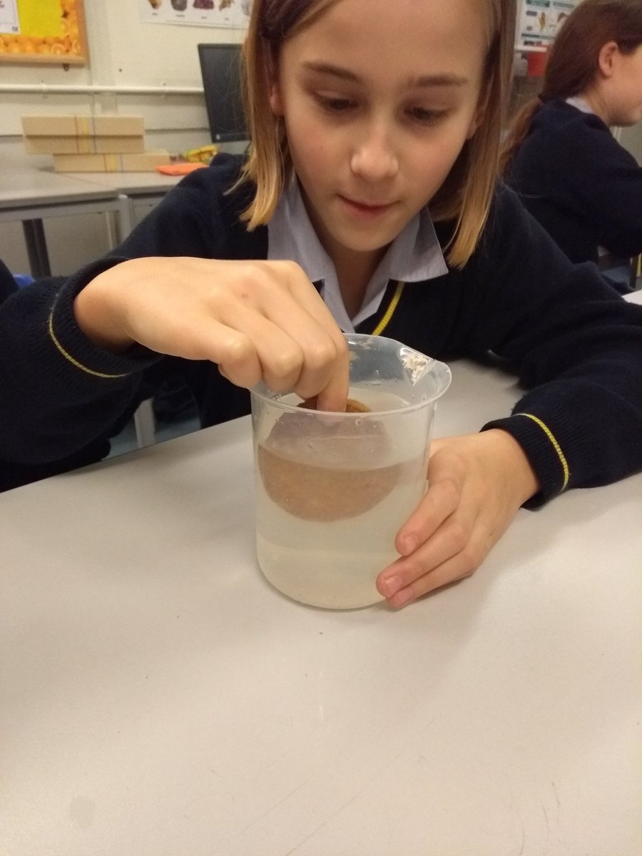 Year2BHGirls's tweet photo. The great @BHillGirls dunkathon is underway in #STEMclub which biscuit will survive longest? Will it be #richtea #gingernut #digestive #chocolatedigestive or #hobnobs ? #biscuits #edibleexperiments @Year4BHillGirls @Year5BHillGirls #science https://t.co/PCKMRBfiVJ