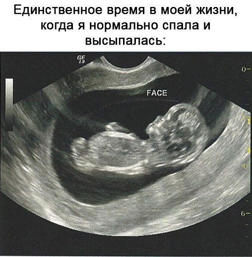 japanstor's tweet photo. Ну еще  9 месяцев.... https://t.co/q33b9AUE3s