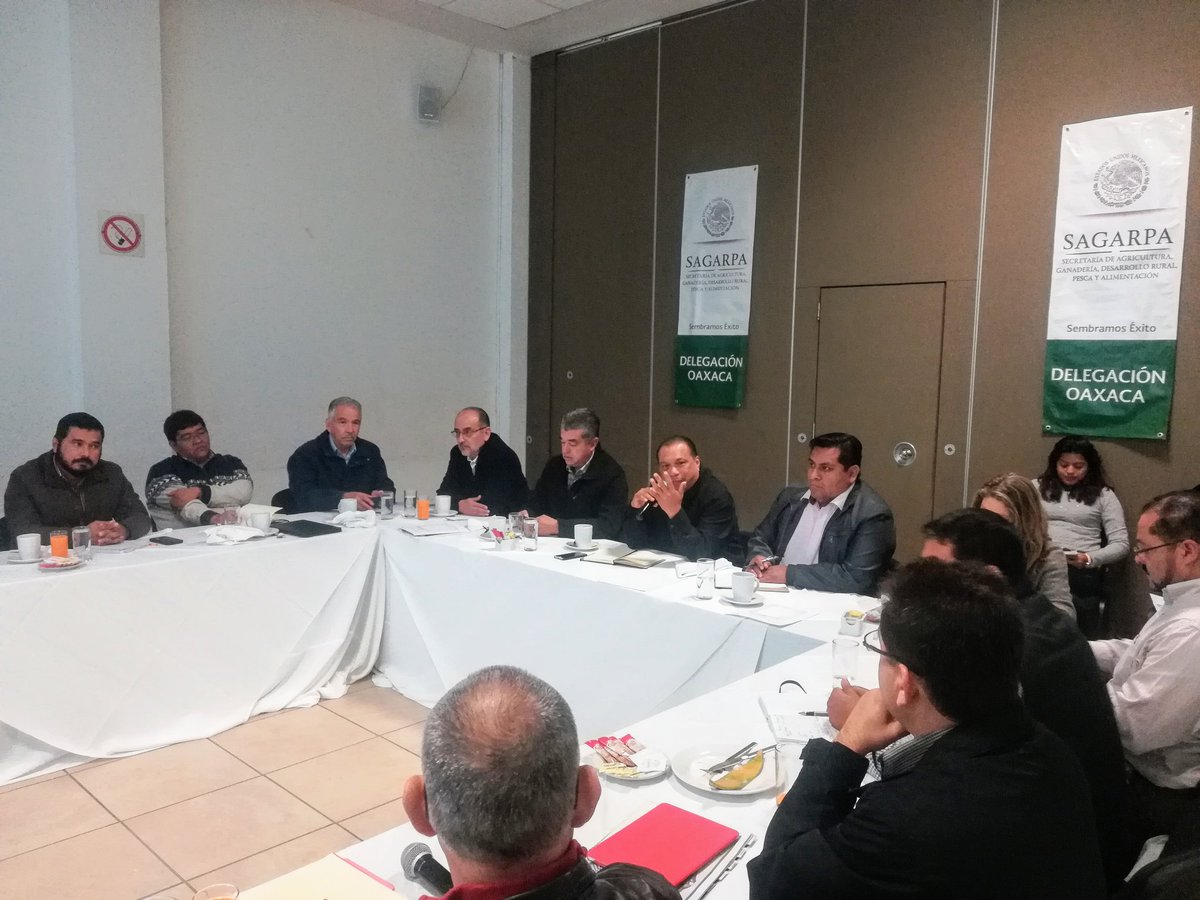 RigobertoGomez_'s tweet photo. En reunión con organismos desconcentrados y auxiliares, establecemos la agenda estratégica del sector agroalimentario de #Oaxaca para el 2018 #FND #FIRA #FIRCO #CONAZA #ASERCA #INIFAP #INCA #CIMMYT #CESVO #CEFPPO @SAGARPA_mx @ppcalzada @Mely_Romero @SAGARPA_Oax @LinoVelazquez https://t.co/4sBQfJZfnq