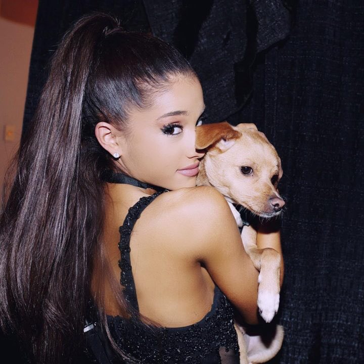 Arilover_15's tweet photo. #iHeartAwards #BestFanArmy #Arianators #CutestPet #Toulouse 💞 https://t.co/v5RQW9okxW