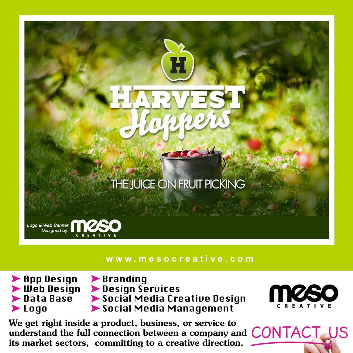 Meso Creative On Twitter Logo Web Banner Design Services