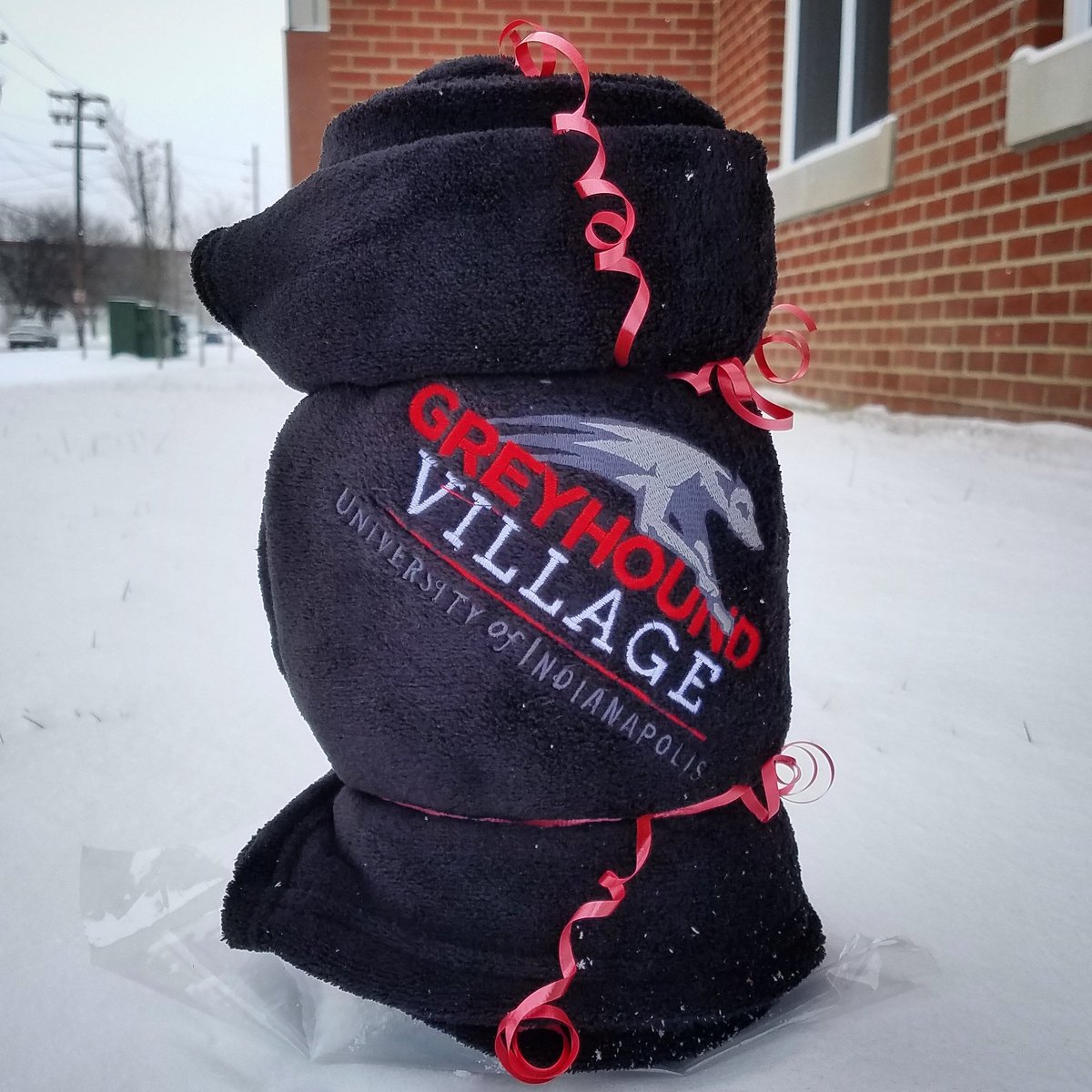 GVatUIndy's tweet photo. #SnowyDayGiveaway come by the front desk today and enter to win a cozy Greyhound Village Blanket!❄☃
•
We will announce the winner tonight at 5:30pm on our Instagram story! https://t.co/wntB1J6pbl