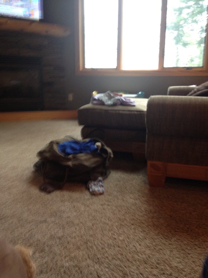 norm28x's tweet image. 