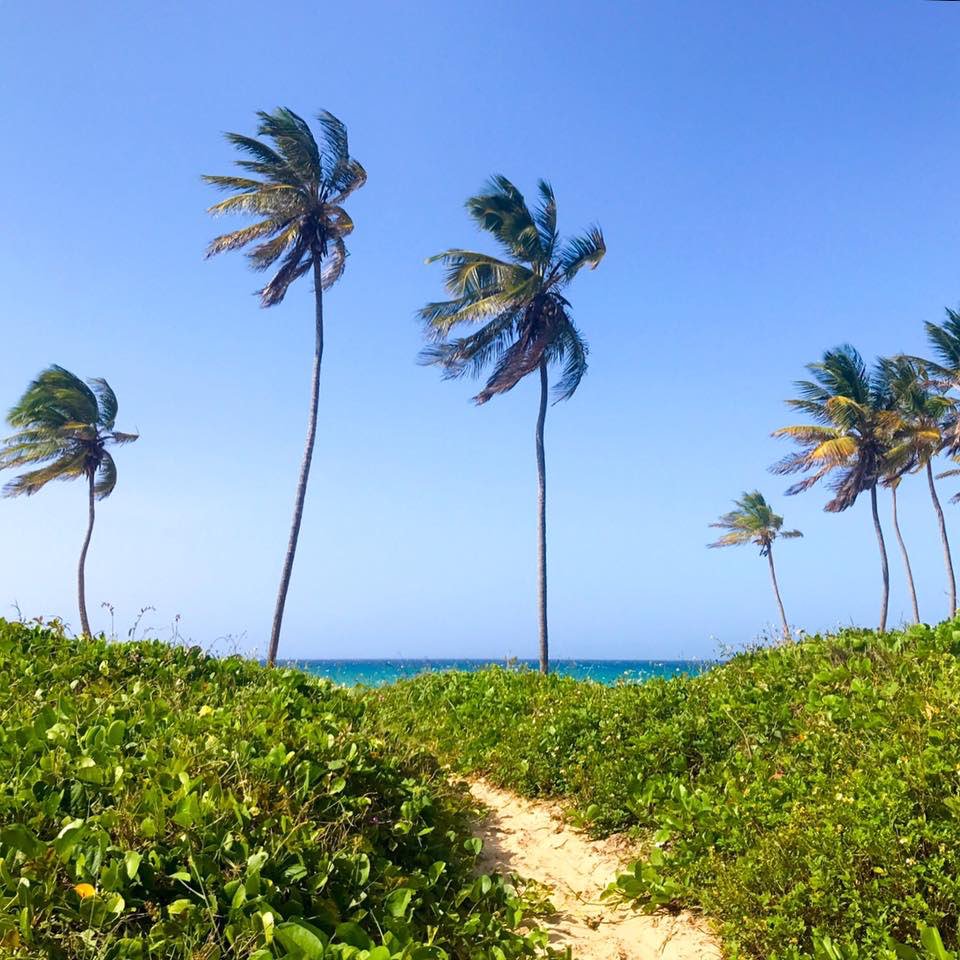 Conch Republic Cup tweet media
