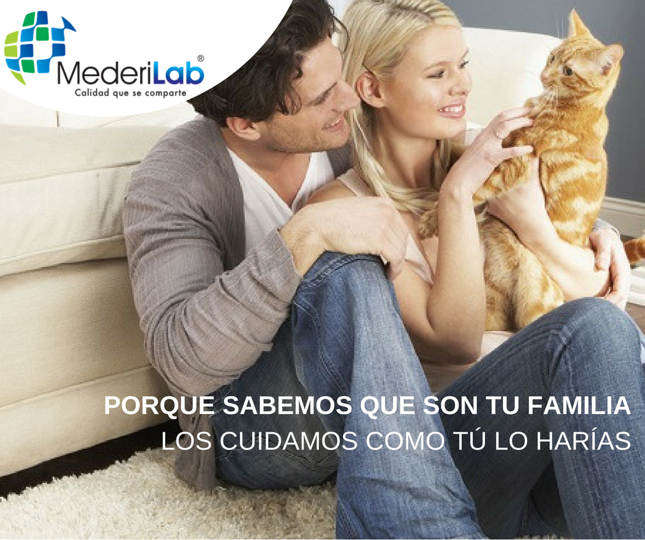 MederiLabMX's tweet photo. Para que no tengas un #BlueMonday https://t.co/pLZ1VNWpwP