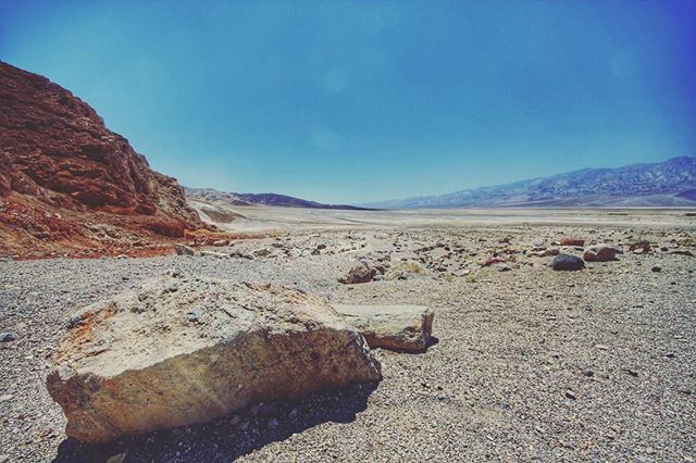 theDAZbox tweet media