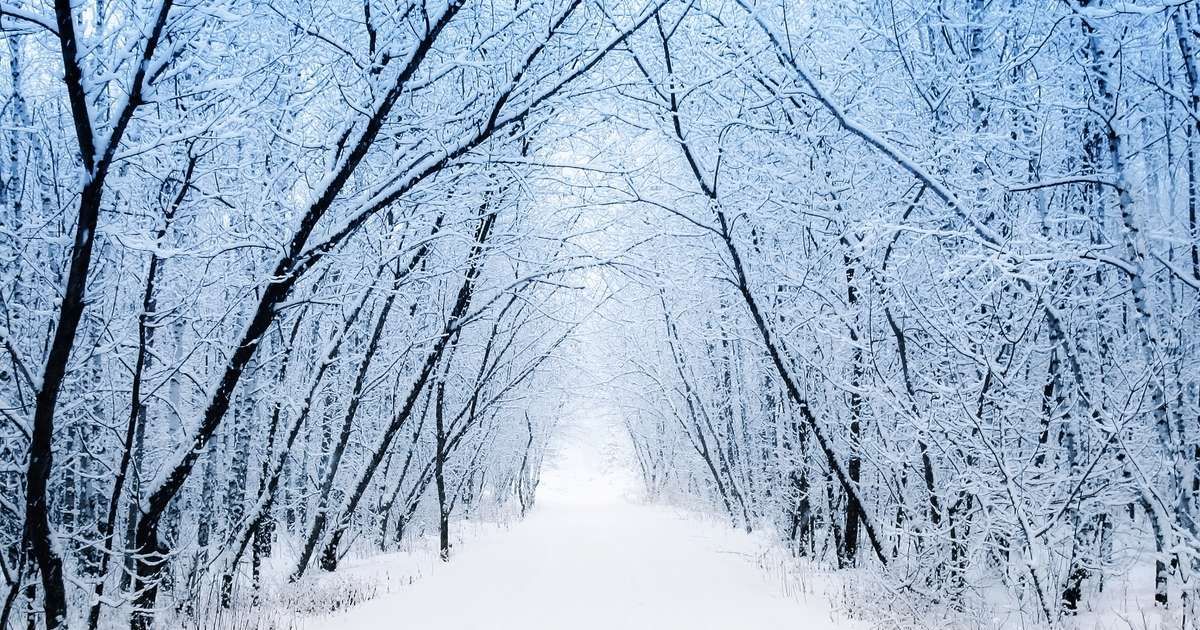 AHS_Think12's tweet photo. Does this cold weather mean there will be fewer mosquitoes this summer? (hint: mosquitoes have developed special mechanisms to survive freezing temps)
https://t.co/iwqxO9v8sD https://t.co/RLVzOH2GNa