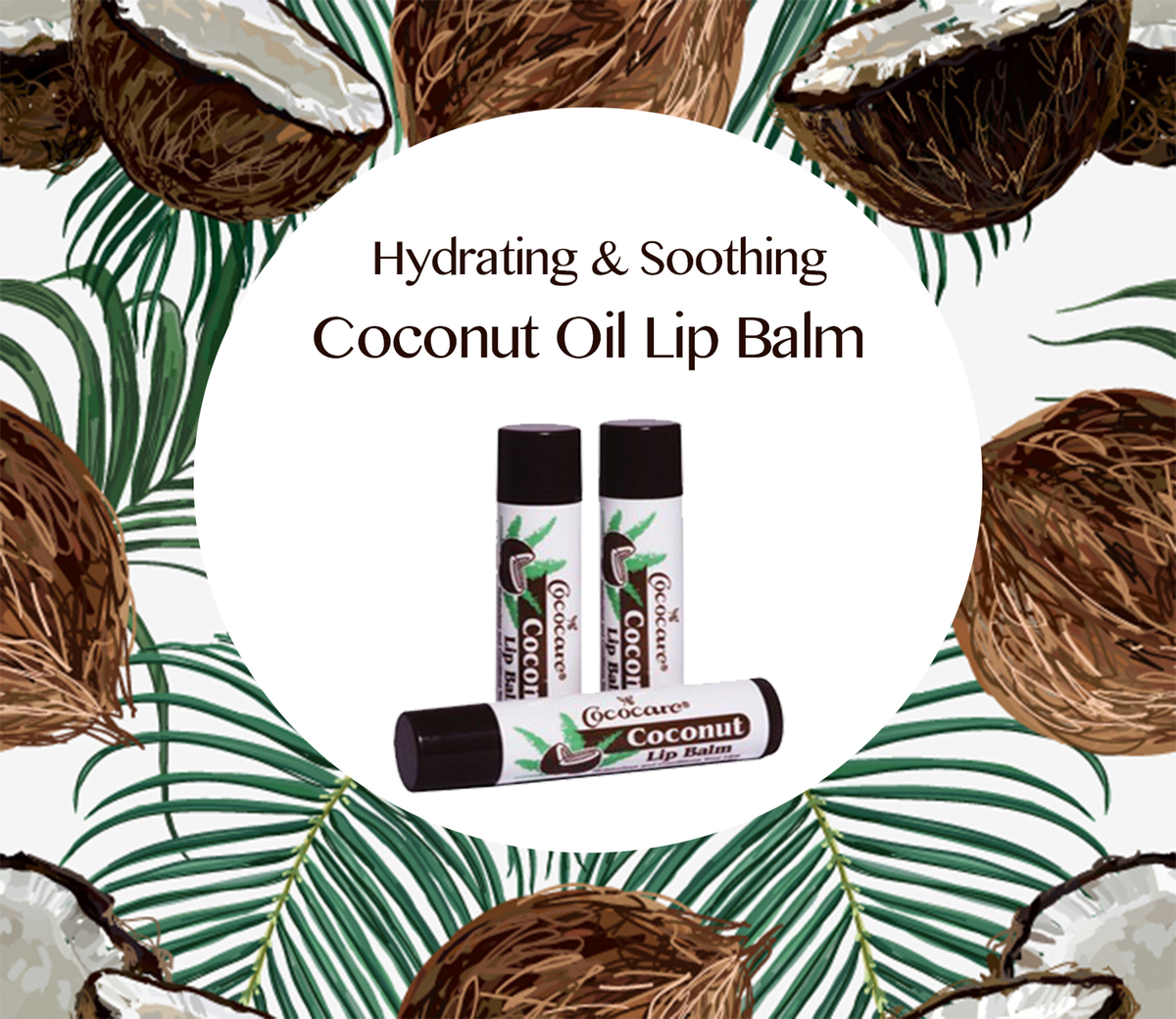 Cococare's tweet photo. Hydrate and soothe your lips with Cococare Coconut Lip Balm. Visit us at https://t.co/62JKhL2gqQ to get yours now. #cococare #coconutoil #lipbalm #coconutlipbalm https://t.co/9gVOdM1Bfu