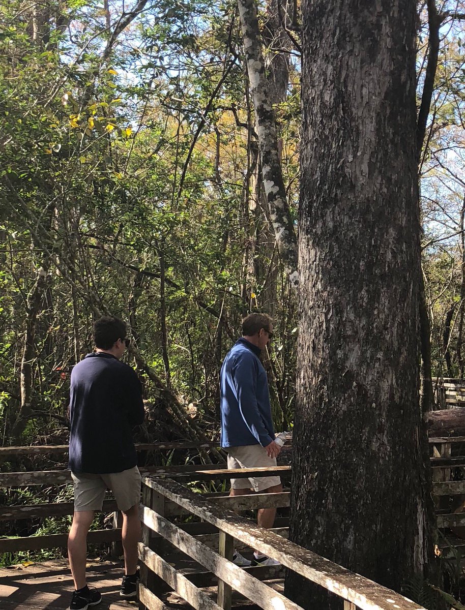 GulfshorePlay's tweet photo. Day off from THE PRICE with my family at Corkscrew Nature Sanctuary.
#GPThePrice
#actortakeover https://t.co/hqeuaCjrVL