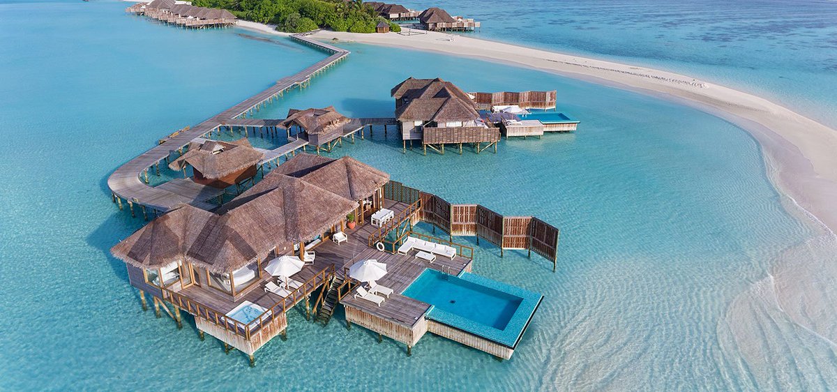 Michael Budd tweet media