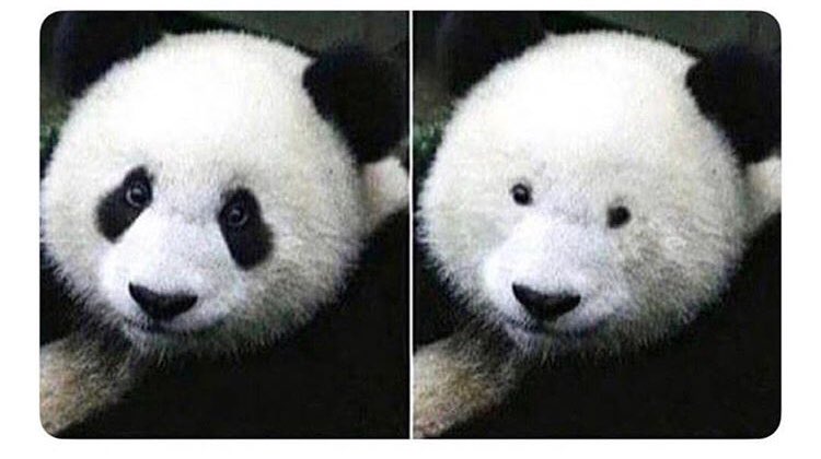 Dilan da gözlüğünü çıkarınca aynı böyle oluyo