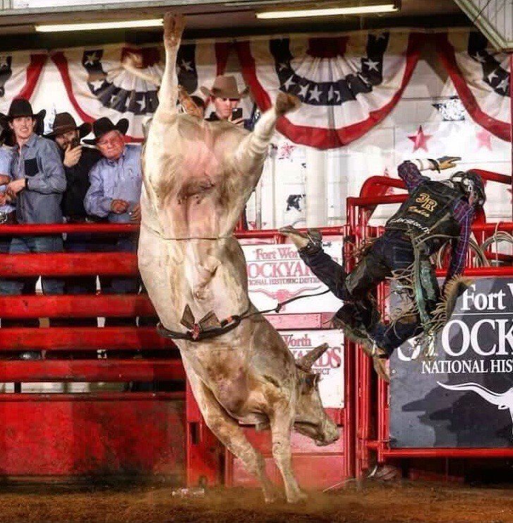 Wileywood Blue and the rest of the crew from Tupelo, Ok are schedule to buck Saturday in OKC! 
<a href="/PBR/">PBR</a> <a href="/Ariat/">Ariat International</a> <a href="/abbinow/">AmericanBuckingBull</a>