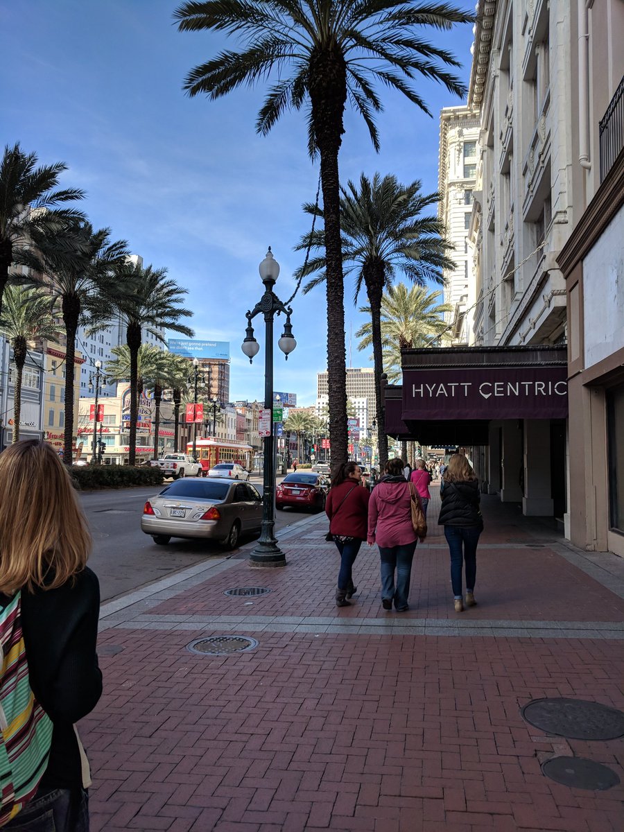 shulermelisa3's tweet image. Palm trees and 60 degrees! #gyto @Satothaburr @williamsrobin13 @meganredshaw