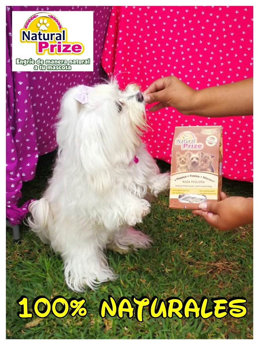 Natural_Prize's tweet photo. ✅#BrilloEnElPelaje
✅#HuesosFuertes
✅#Hipoalergenicos 
✅#BuenaDigestion
#inbox 
#NaturalPrize ❤️ #OrgullososDeSerPeruanos 🇵🇪 #galletas #rico https://t.co/wjQzHaGHe1