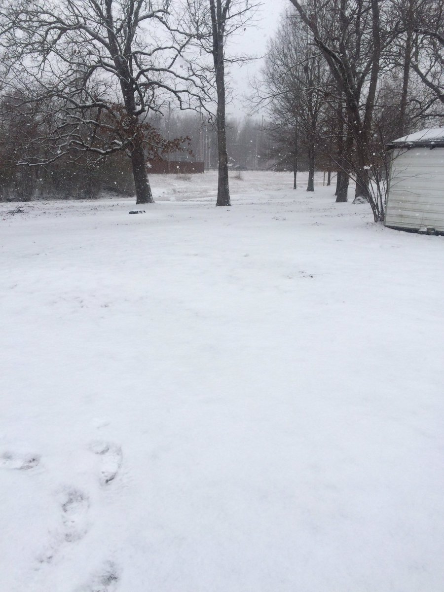 coachwatson12's tweet photo. @ryanvaughan @KATVToddYak Still coming down hard in Salem, AR! https://t.co/Jw0gMXJcm6