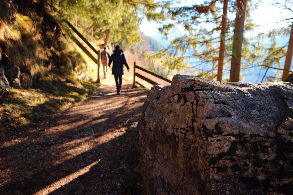 MobMysth's tweet photo. Impressionen #Wandern Soleleitungsweg in Ramsau bei @BGLTourismus https://t.co/luwx9hYt4S