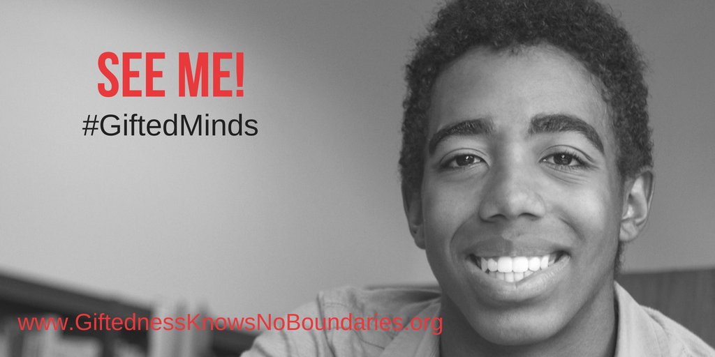 "Everything that we see is a shadow cast by that which we do not see" #MartinLutherKing Join the movement to SEE ME! bit.ly/GKNB18   #GiftedMinds #gtchat #MLKDay