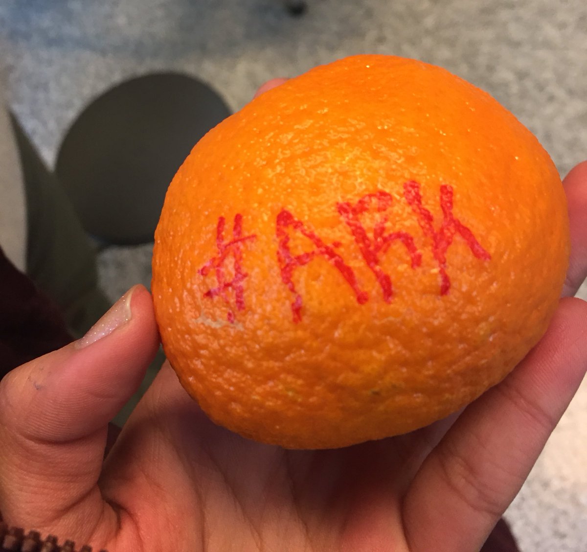 battlefieldARK's tweet photo. ‘Cuties for Cuties!’ At our December meeting, our kind ARKsters helped promote positivity, and healthy eating, to our peers at BHS🍊💗 https://t.co/92Imqvn2uo