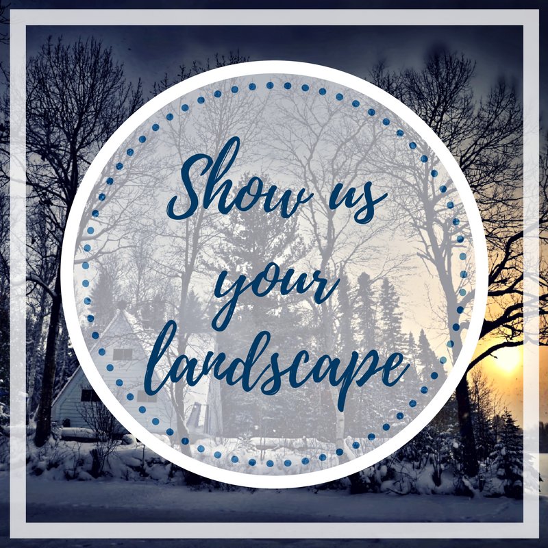 Winter can often be a very picturesque time for our landscapes. Share some photos you've taken this season!