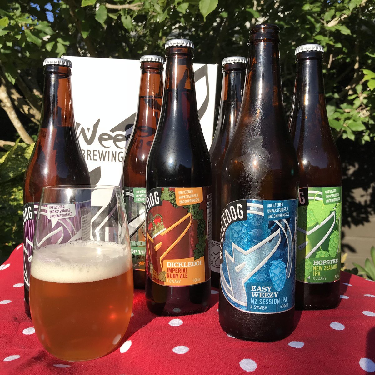 CraftBeerOnline tweet media