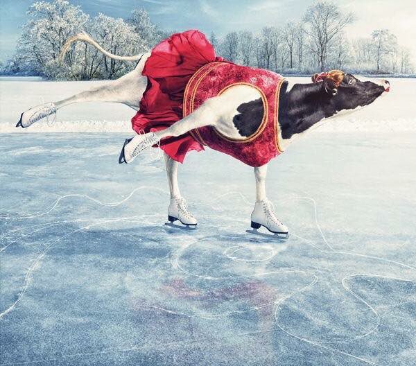 With winter weather on the way and out of precaution for our staff, Chick-fil-A Madison will open at 10:30am tomorrow, Tuesday, January 16th. We hope you all have a safe morning, and we look forward to seeing you at lunch!!!