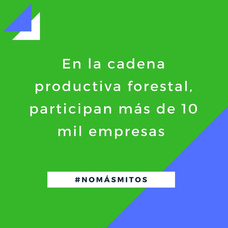Sabías que la actividad forestal genera miles de empleos, además de nuevos emprendimientos para pymes #NoMásMitos #Pymefor