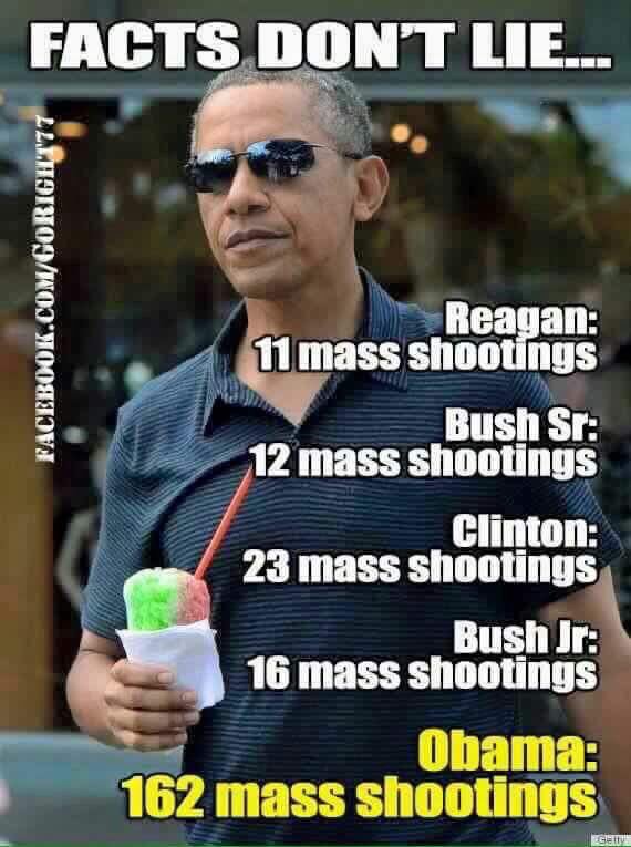 meme :mass shooting facts don't lie