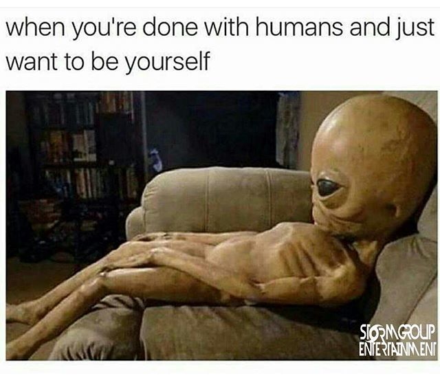 soflnightlife's tweet photo. THIS.
...
#StormGroup #SGE #MusicFestivals #Rave #ElectronicDanceMusic #Ravebae #Ravememe #EDM #Plur #Ravers #raverproblems #Plurvibes #plurlife #ravelife https://t.co/8LAVVAMHwl https://t.co/uqWOcYEOwj