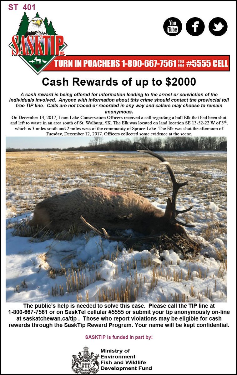 Sasktip's tweet image. Can you help solve this case from the St. Walburg area? If you have any info call the TIP line 1-800-667-7561 or report online at saskatchewan.ca/tip. #sktip