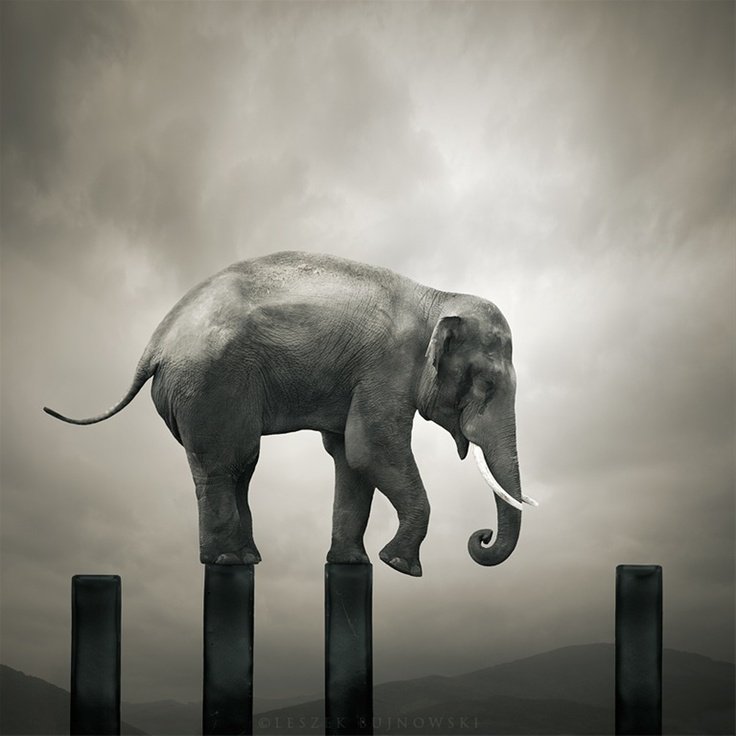 jaimealvarez__'s tweet image. Los fracazos son necesarios para el crecimiento personal.
#failureissuccess