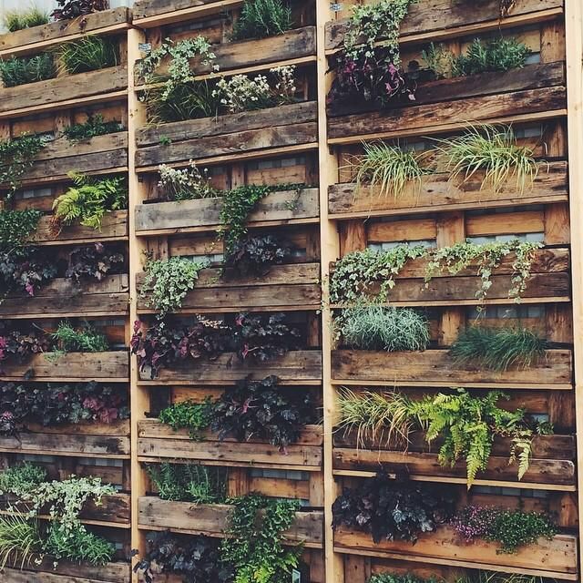 urbgardenersrep's tweet photo. Fantastic example of #verticalgardening💚💚💚 #urbangarden - It's definitively worth the try! We can help. We can help https://t.co/P4hS2f3rJb https://t.co/cE15XpcKw7