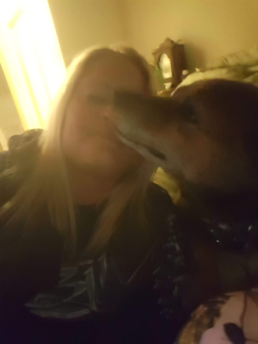 mary311forU's tweet image. Still miss my Buddy soo much.. He was soo loving... He loved #EONS  &amp;amp;  #useoftime ...my311Buddy❣