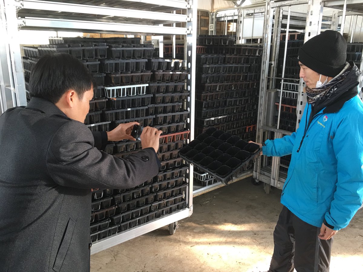 marugamo123402's tweet photo. 1月16日かようび
丸進運輸の本社にベトナムのハノイからお客様が来たがも!!
インターナショナル協同組合の担当トゥンさん
技能実習生の受け入れ企業さんに一緒に挨拶まわりして来てがも!!
#LETCO
#ハノイ工業大学
#インターナショナル協同組合
#ベトナム
#技能実習生
https://t.co/ArnTrv4j23 https://t.co/IQWQUsiKPg