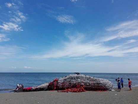 SweetyGirl_2009's tweet photo. Listen to the dead whale’s wake-up call
Greenpeace Philippines writes on their Facebook page about the great whale
look closer and see what plastic pollution does to the ocean.

📷 https://t.co/kzZsxI4M4j https://t.co/gTZNgKHZvs