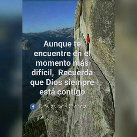 BibisGarcia1 tweet picture