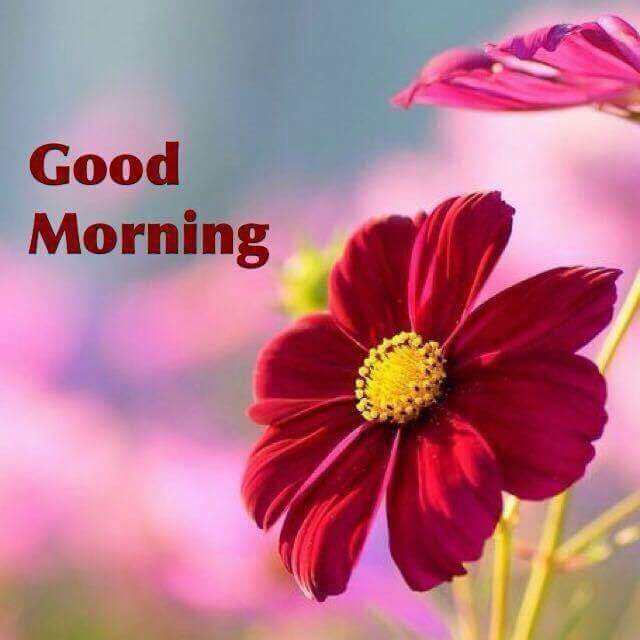 FsasecZA's tweet photo. Good Morning from all of us in Vanderbijlpark.
#FSASEC https://t.co/ZJBVssxSOT