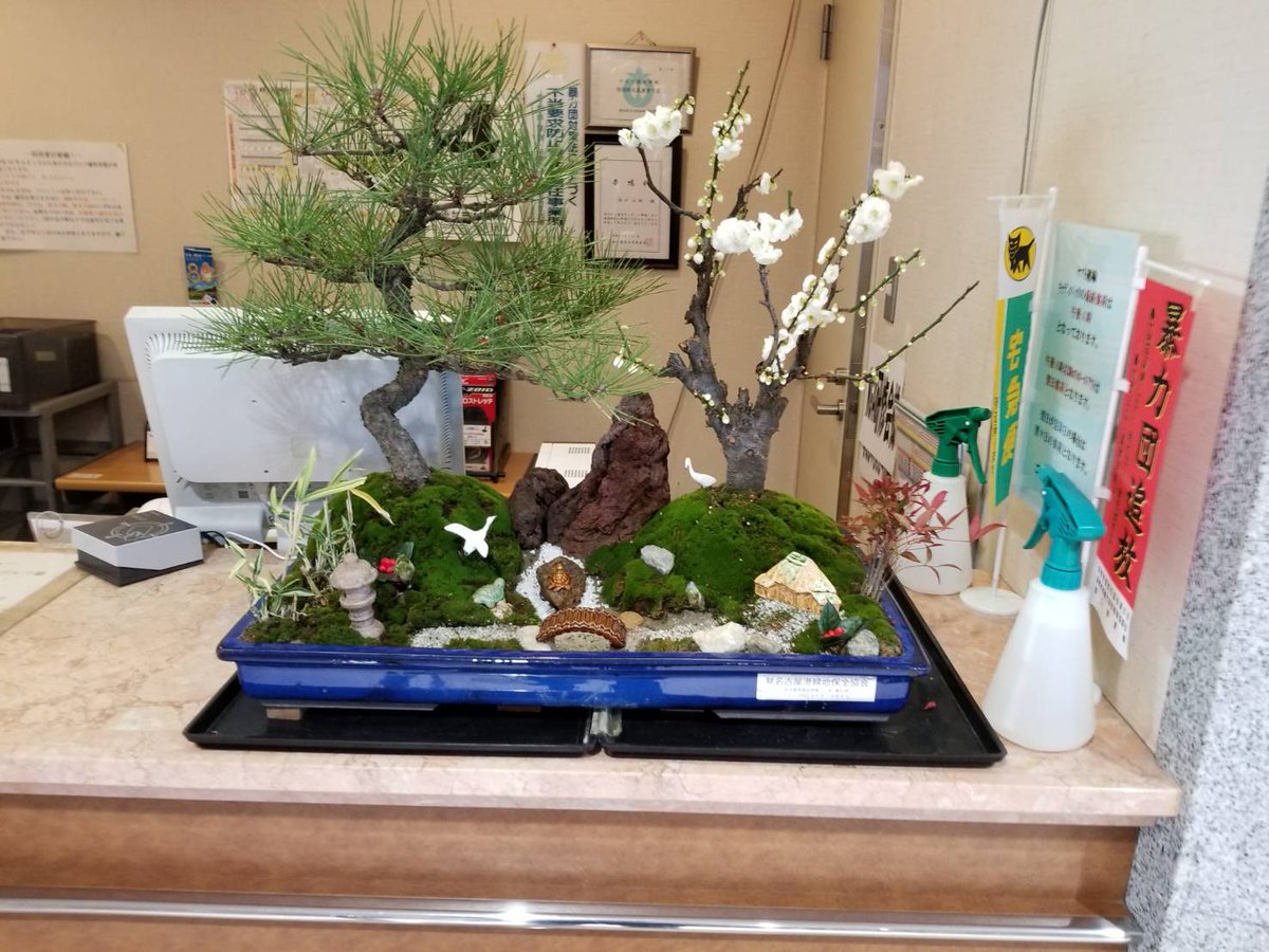 公益財団法人 名古屋港緑地保全協会 على تويتر 正月用の寄せ植え盆栽を展示しましたヾ ー ノ 名古屋港ガーデンふ頭の Jetty 南極観測船ふじ ポートハウス 名古屋港ゴルフ倶楽部 富浜コース の4箇所です o 0 o 縁起の良い松竹梅をモチーフに 公益財団法人 名古屋港緑地保全協会 على تويتر 正月用の寄せ植え盆栽を展示しましたヾ ー ノ 名古屋港ガーデンふ頭の Jetty 南極観測船ふじ ポートハウス 名古屋港ゴルフ倶楽部 富浜コース の4箇所です o 0 o 縁起の良い松竹梅をモチーフに
