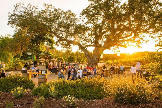 TripAdvisor has ranked Paso Robles as #6 on their list of the Top 10 Up-and-Coming Destinations for 2018 and we couldn't be more proud! 😍 Find out why we made the cut: usat.ly/2DgRjND