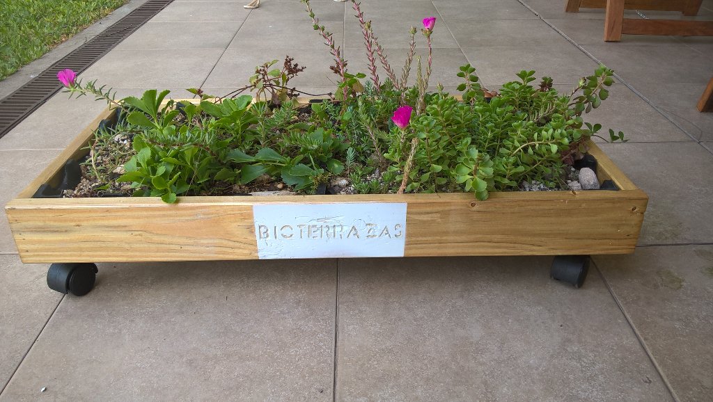 Bio_Terrazas's tweet photo. Cubierta verde sustentable para balcones e interiores con ruedas para facil desplazamiento. Ceibo&amp;Bioterrazas https://t.co/4m06qnN1Ap