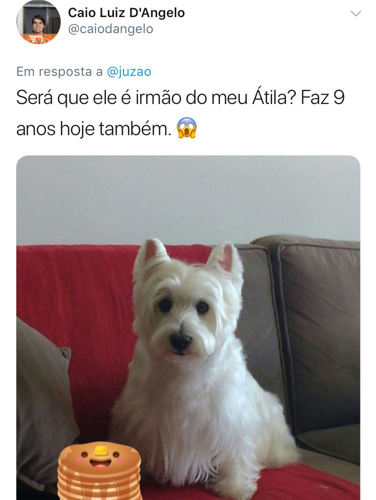 luquinha's tweet image. é por isso que eu amo o Twitter