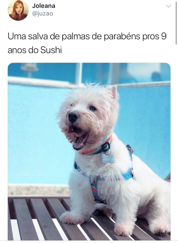 luquinha's tweet image. é por isso que eu amo o Twitter